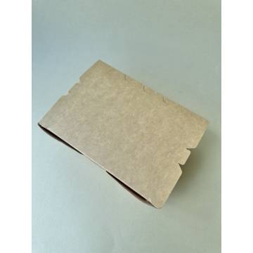 ECO Brown Large PE Coated Box