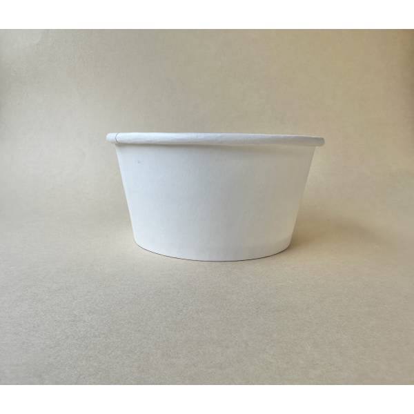 Paper Container