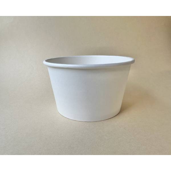 Paper Container