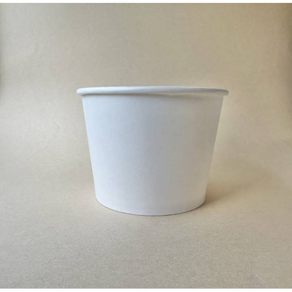 Paper Container