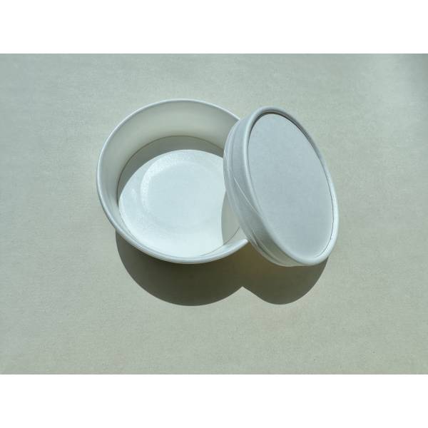 Ice Cream Container
