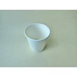 Paper Container