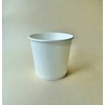 Medium Food Container