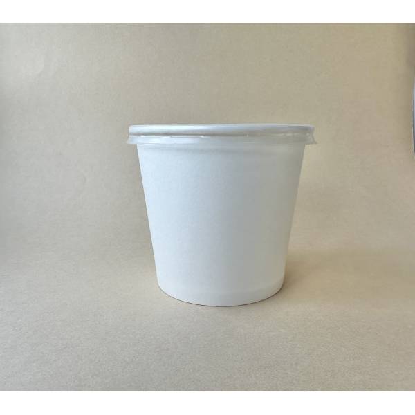Medium Food Container